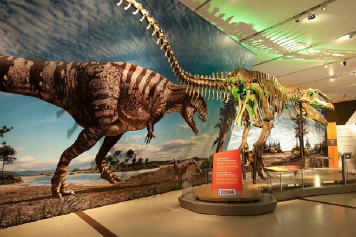 Bảo tàng Dinosaur
